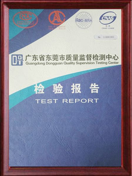 广东是东莞市质量监督检测中心的检验报告
